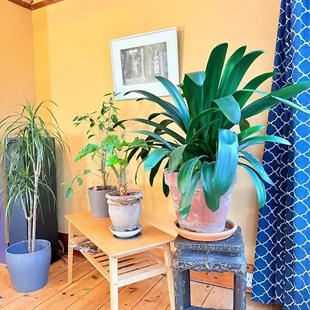 Serene Asian-inspired With Garden & Parking *